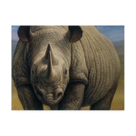 Dan Craig 'Rhinos Portrait' Canvas Art,24x32